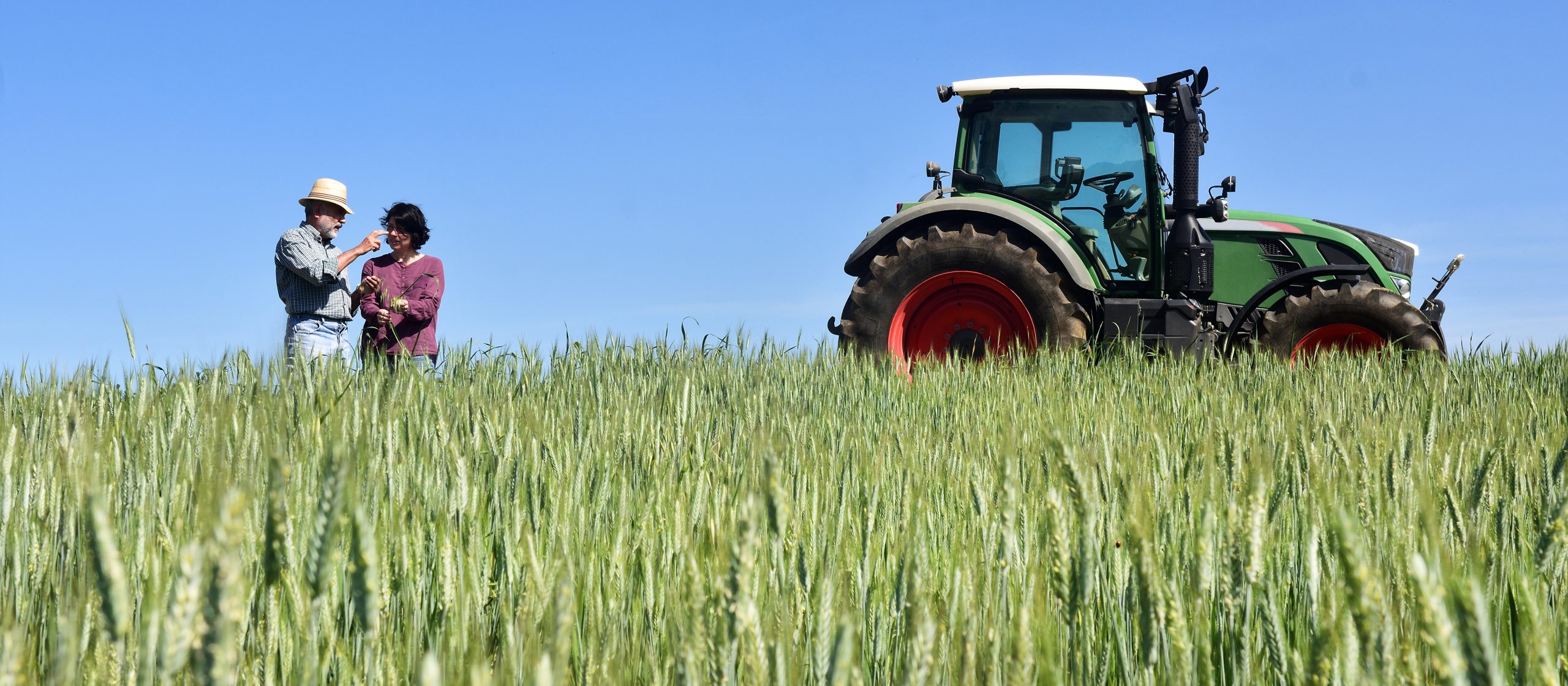 rear view of a green tractor in a field