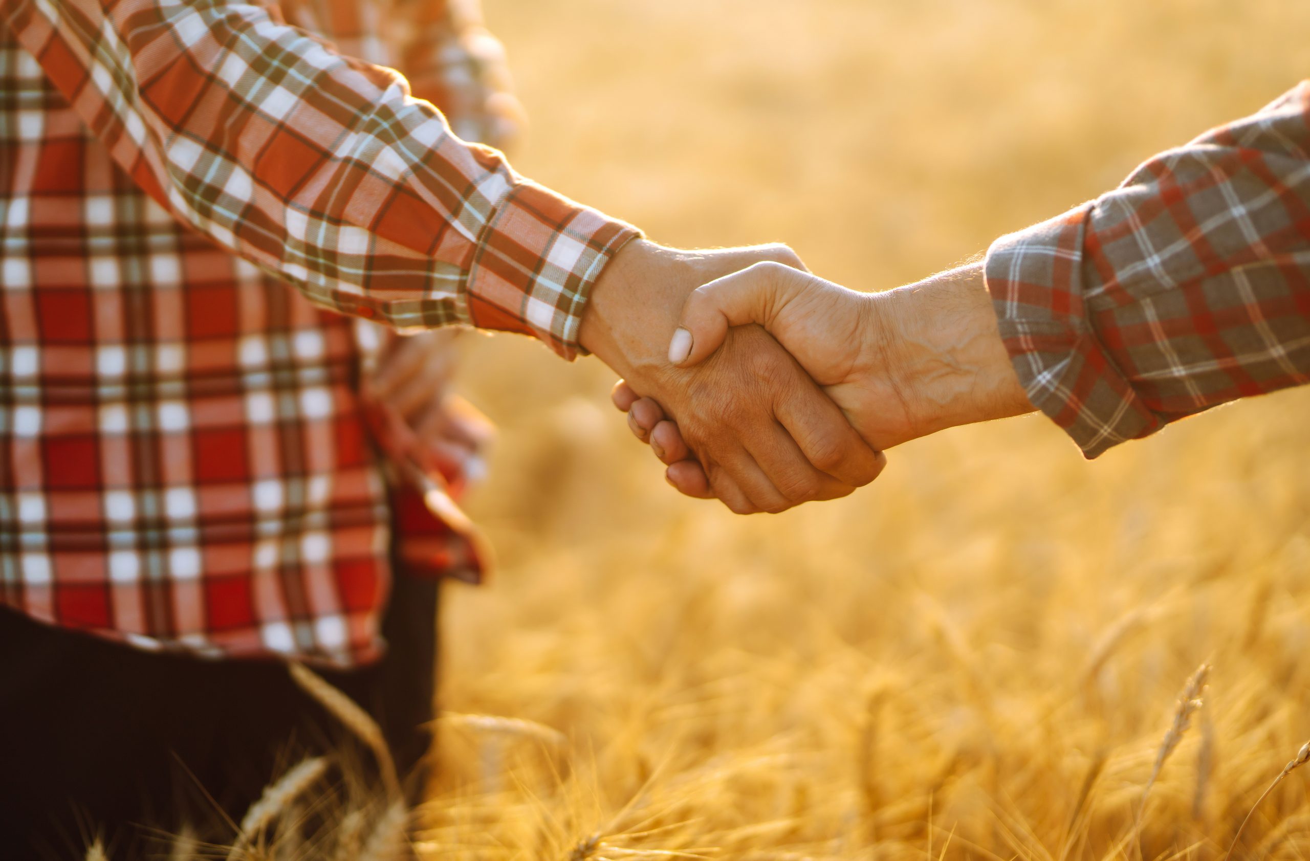 two people shaking hands in front of a field